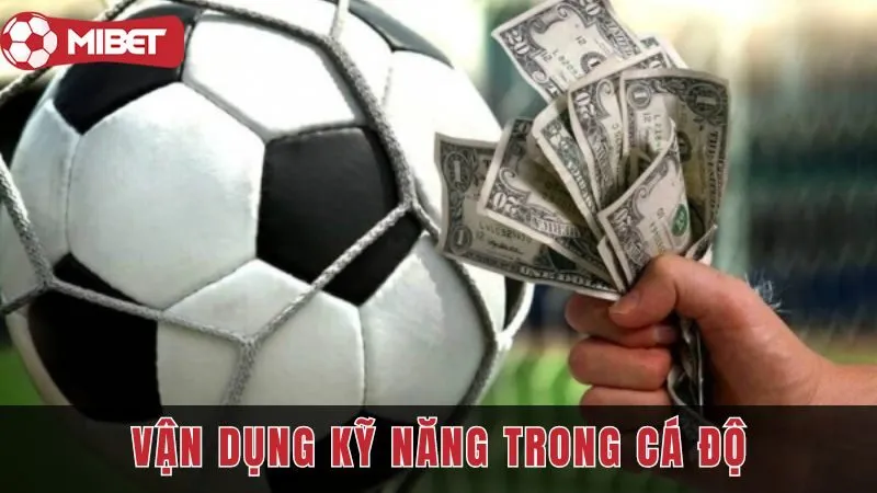 Vận dụng sự may mắn và kỹ năng trong cá độ